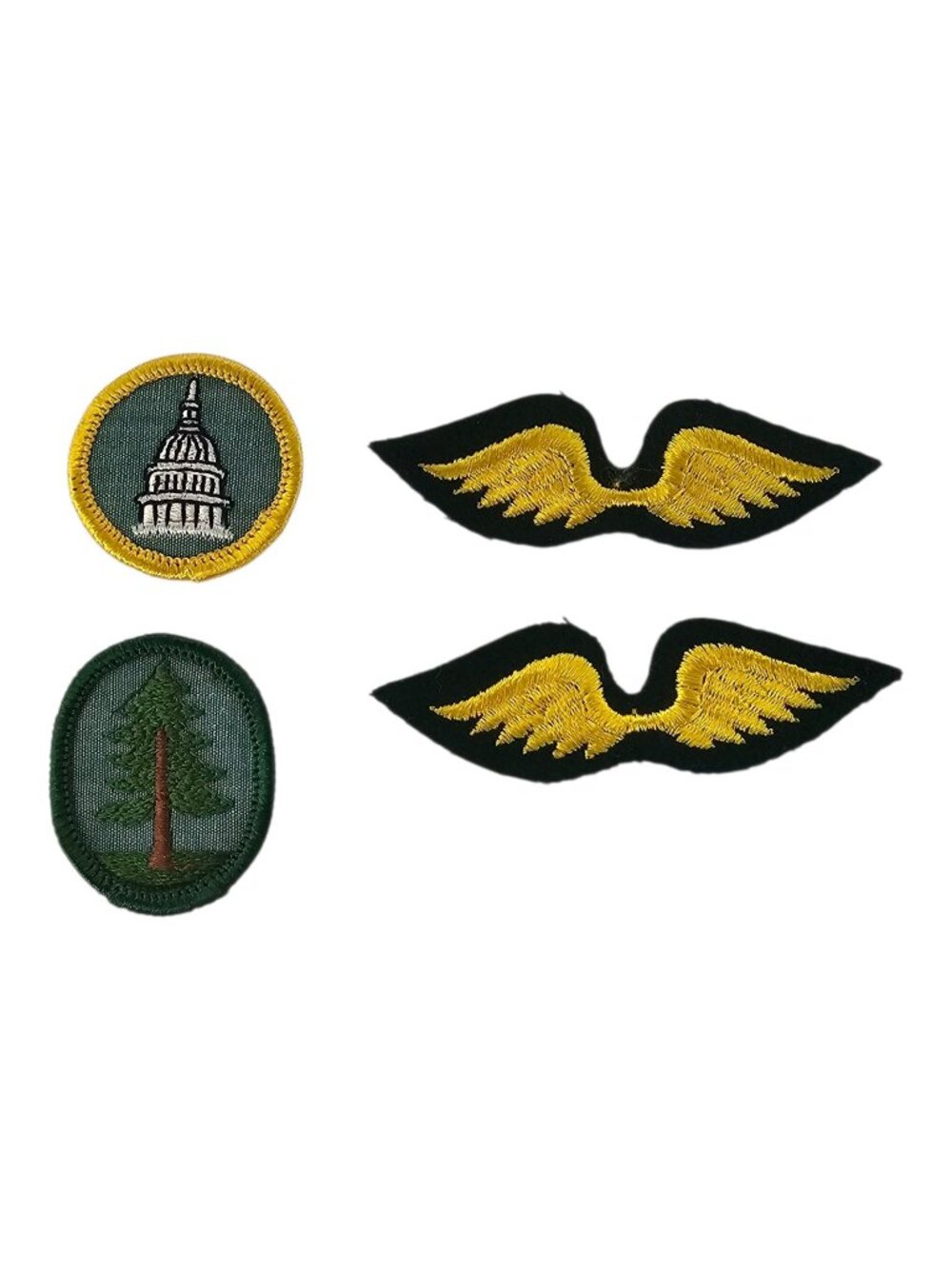 Girl Scout Patches Brownie Fly Up Wings Pine Tree US Capitol Dome Badge Lot Of 4